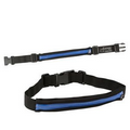 The Sprinter Running Belt